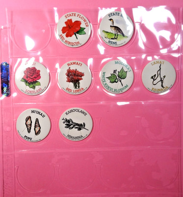 Pogs * Hawaii * State * Flowers * State Bird Nene * Nice * 1993 * Hibiscus