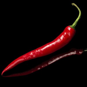 Liveseeds Hot Pepper Cayenne Chilli 10 seeds