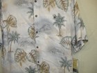 Picture 3 of 5