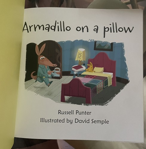 Usborne Phonics Reader: Armadillo on a Pillow c2019 NEW Paperback - Picture 2 of 3