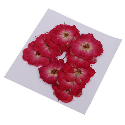 10 Pieces Dried Pressed Flowers Real Rose DIY Handmade Bracelet Resin Crafts