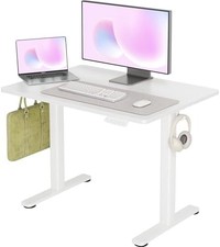 Electric Standing Desk, Adjustable Height Stand up Desks, 40 x 24