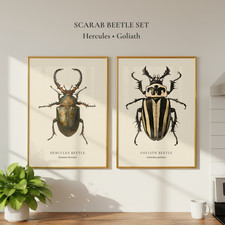Giant Scarab Beetles Natural History Prints | Entomology Wall Art Set