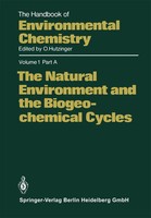 Otto Hutzinger | The Natural Environment And The Biogeochemical Cycles | Buch