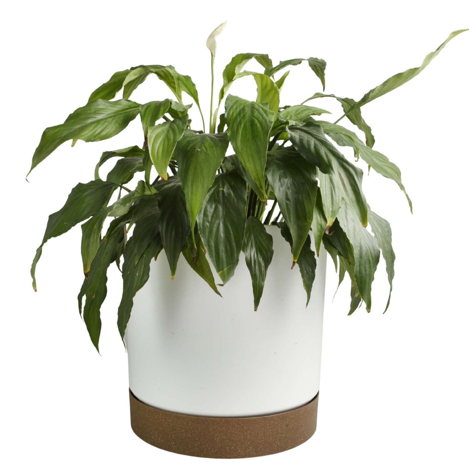 Round Flower Pot Planter with Saucer Indoor Outdoor Two Tone Matt Modern Decor