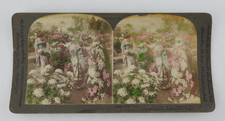 Antique Keystone Stereoview Japan Chrysanthemum Festival Emperor Birthday 1905
