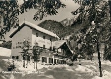 1960 TRENTO Dolomiti di Primiero Baita del Vecio Locanda Cartolina fotografica