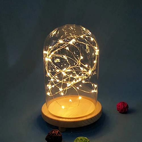 Clear Glass Display Dome Cloche Bell Terrarium Jar for Plants Collectible - Picture 5 of 9