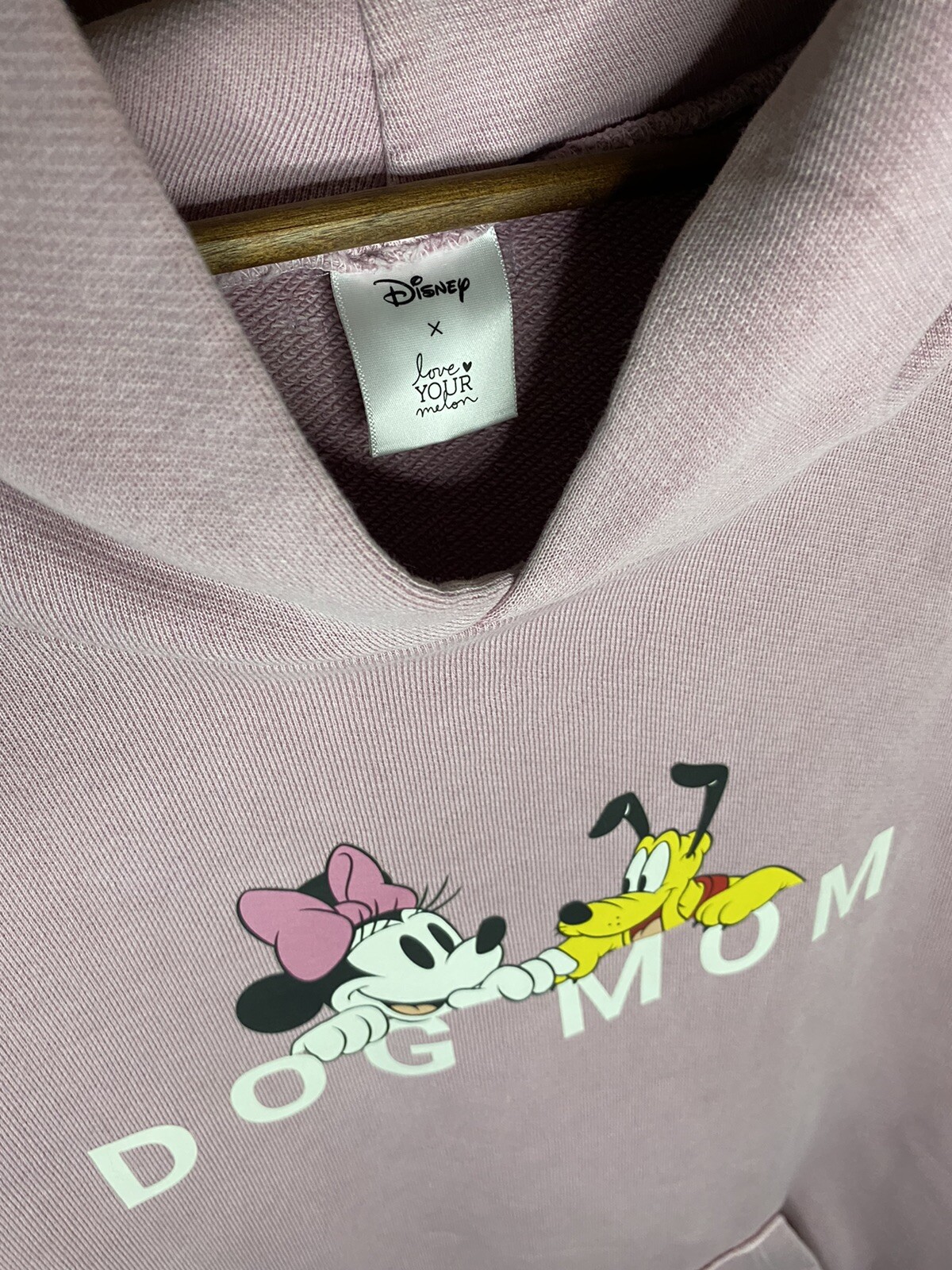 Limited Edition Disney x Love Your Melon Dog Mom hood… Gem