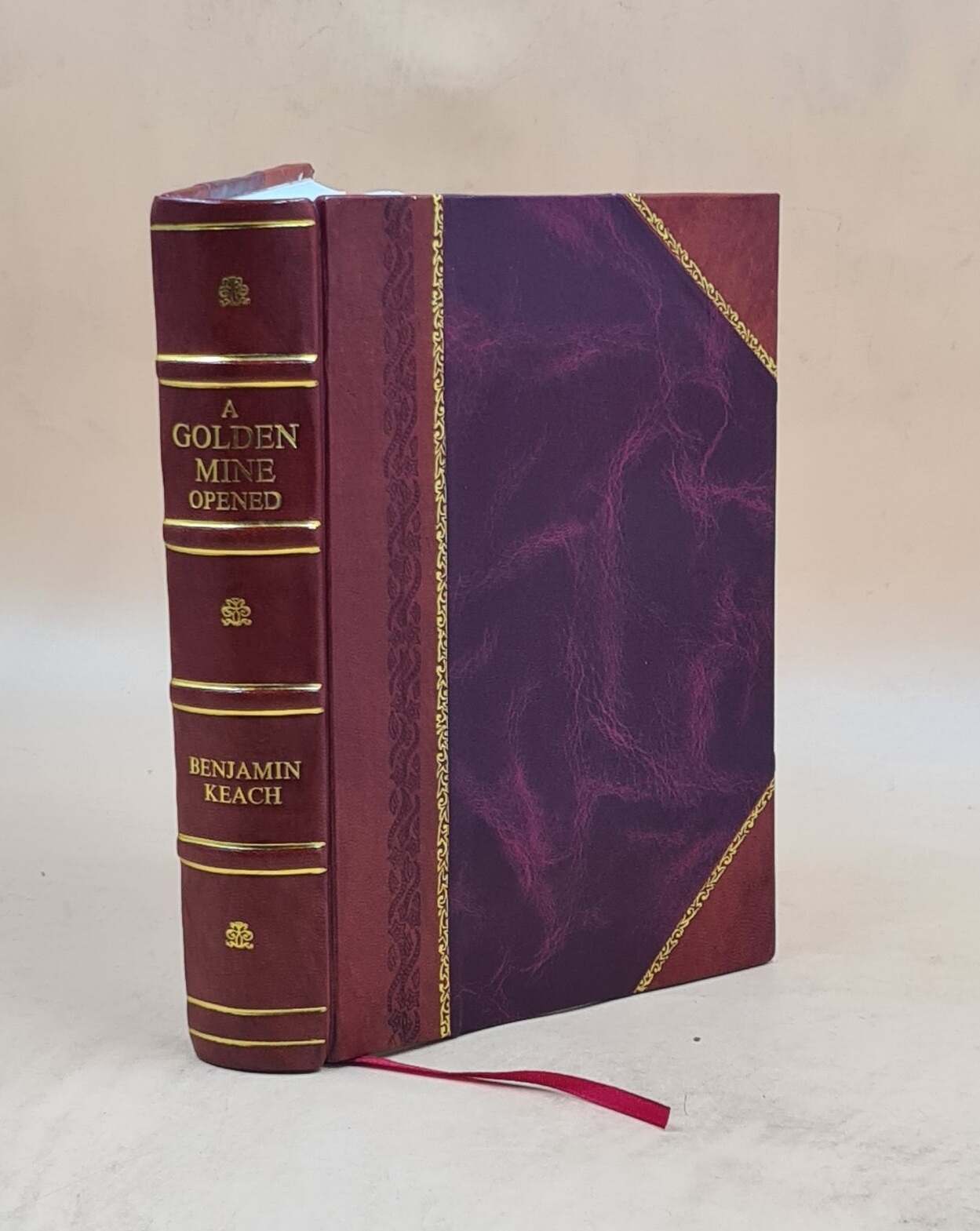 A Golden Mine Opened The Glory Of God'S Rich Grace Displayed The [Leather Bound]