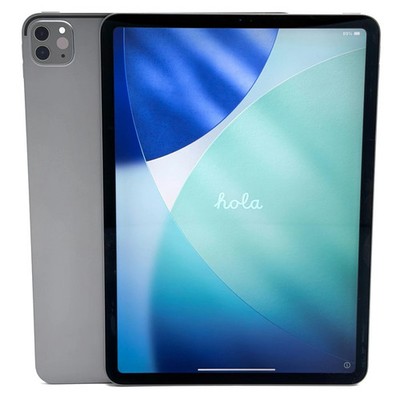 Apple iPad Pro 11'' 2nd Gen. 256GB Space Gray WiFi Only | Slightly Bent | READ |