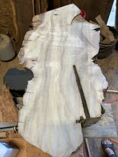 Figured Myrtlewood Slab aka Pepperwood or California Bay