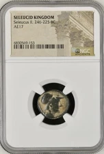 Ancient Seleucid Kingdom Greek Coin Seleucus II 246BC-225BC NGC Genuine Scarce