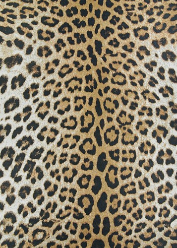 Dolce Outdoor Area Rug - Amur Leopard 2'3" X 7'10" Runner in New Gold Color, ...