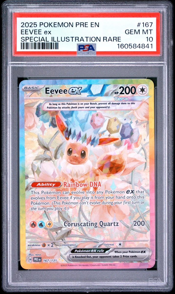 eevee pokemon card ebay Pokmon Pokmon TCG Rare Individual Collectible Game Cards for sale Eevee Pokemon Card 151 C