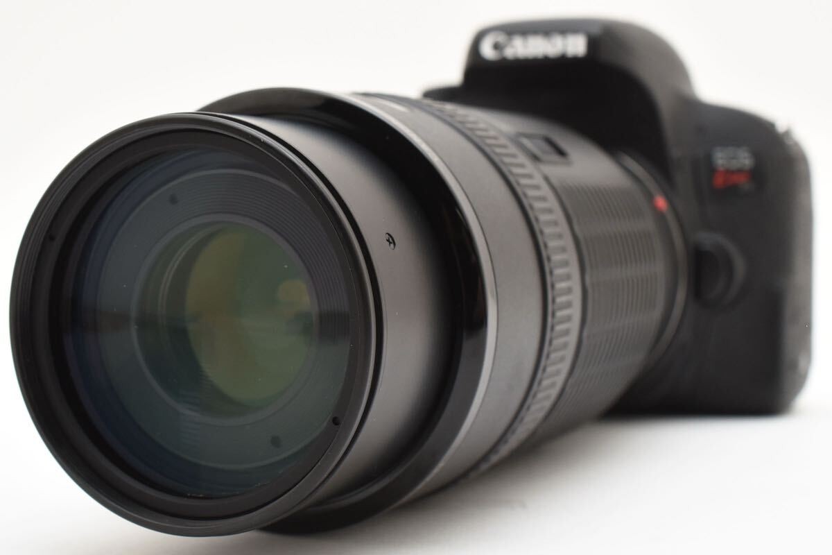 canon kiss x9i + Canon 100-300mm 1:5.6