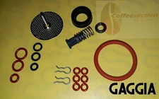 Saeco Gaggia Parts Set - Repair Kit for Titanium, Titanium plus, Magic, Incanto