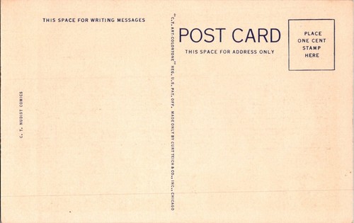 Vintage Postcard Nudist Colony Comic Nude Woman JX1 - Picture 2 of 2