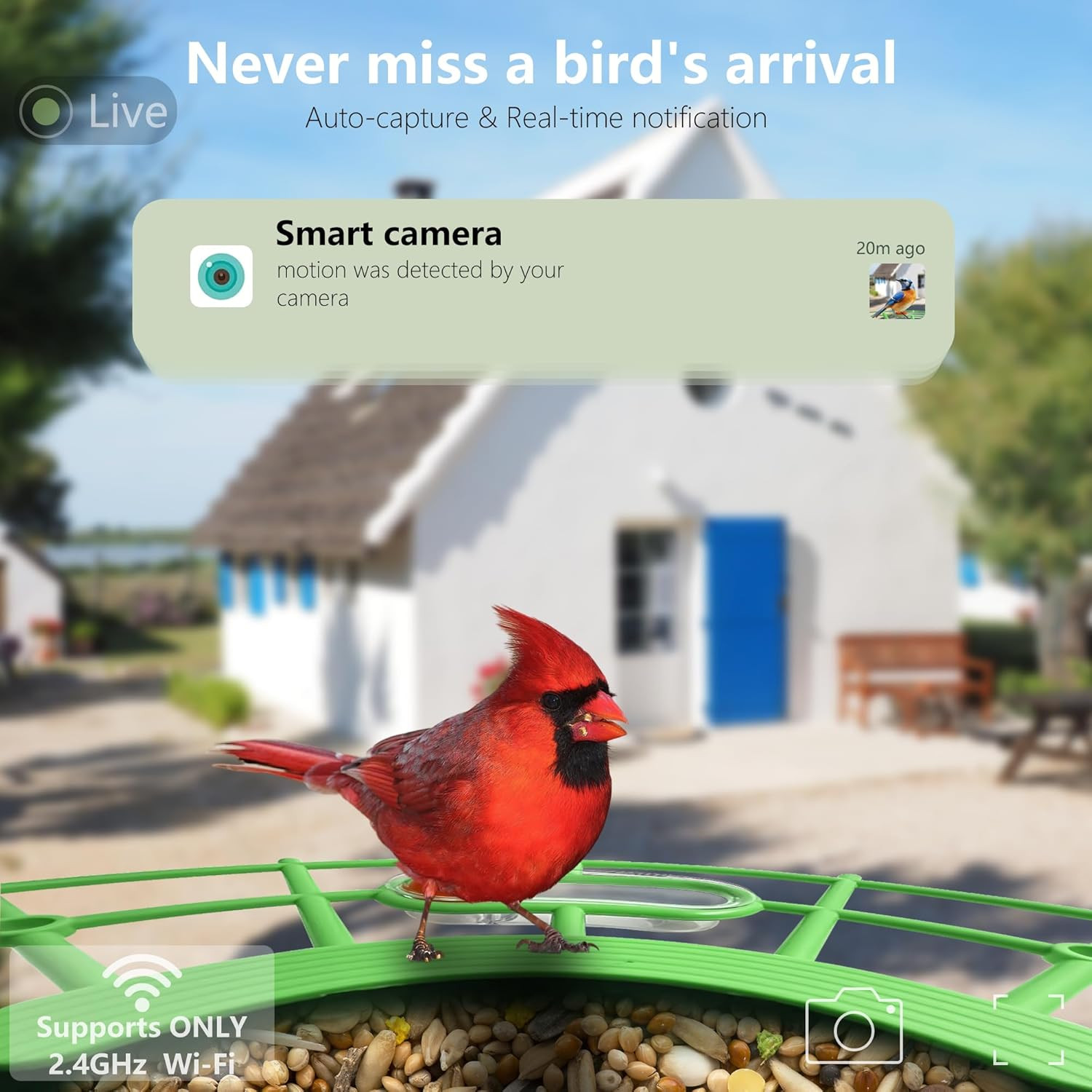 Bird Feeder with Camera, AI Birds Identification, Solar Powered, Live View, Inst