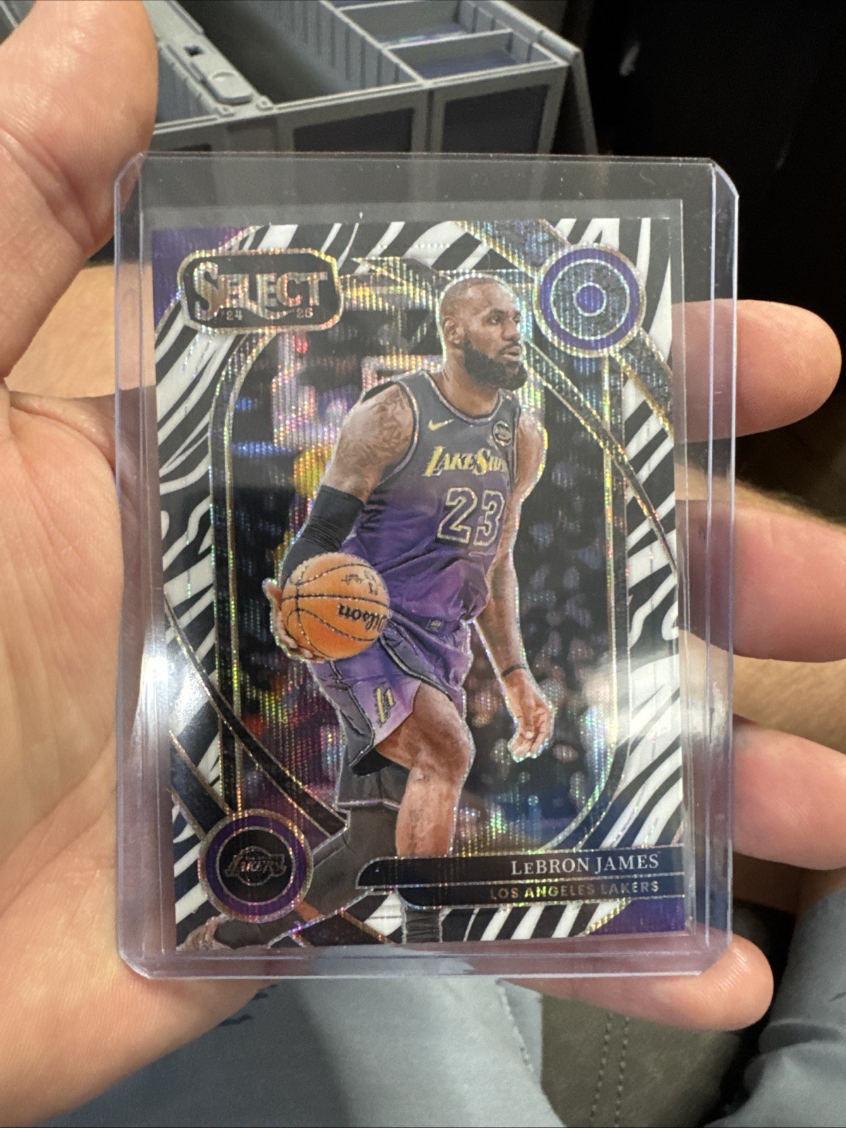 2024-25 Select Courtside Zebra Prizms #241 LeBron James LAKERS SP