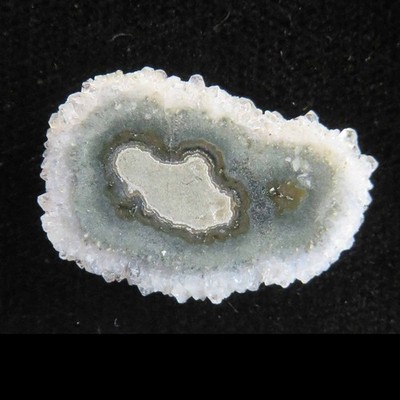 Stalactite Flower Slice  Polished Both Sides   c2180