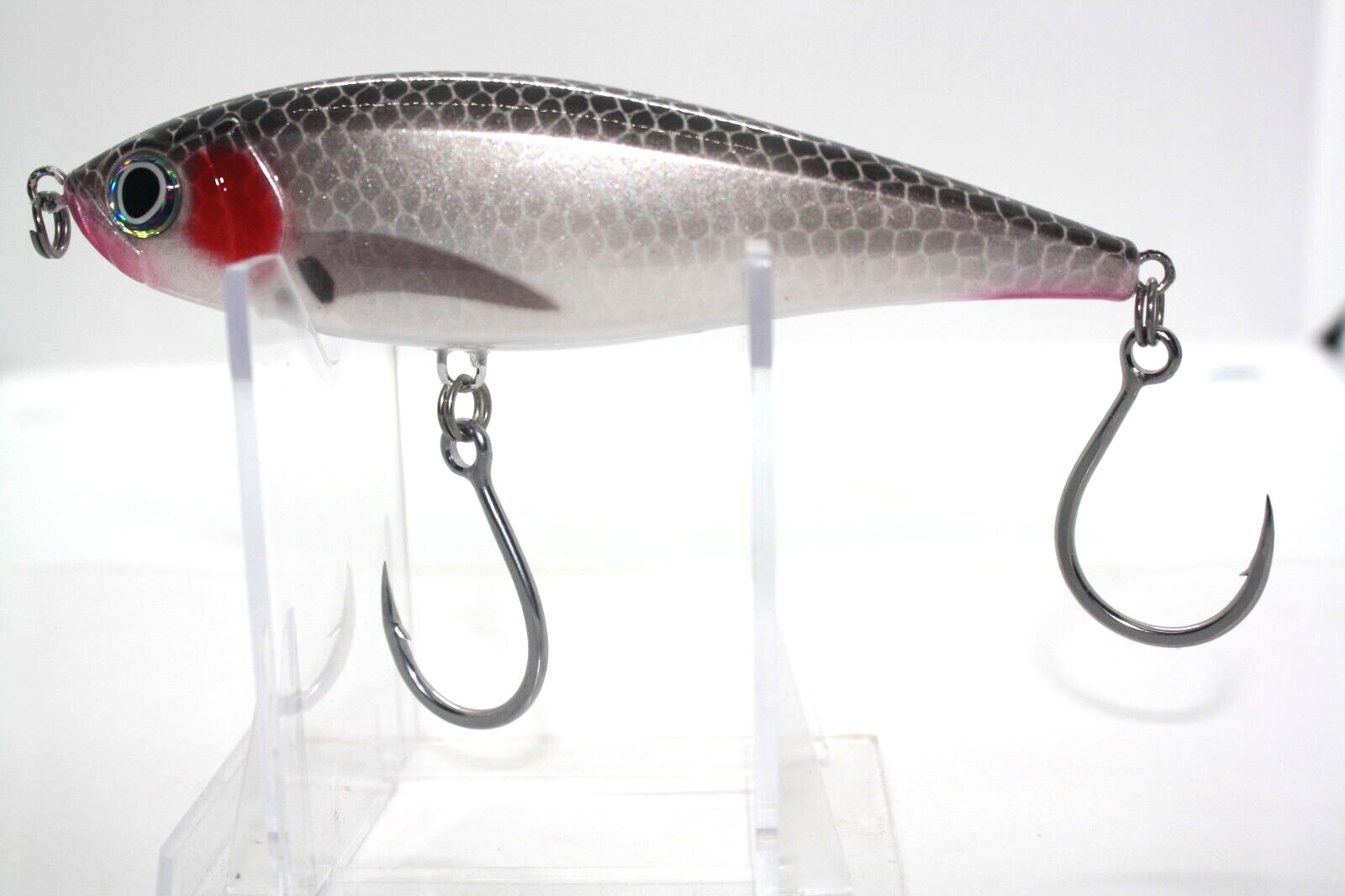 Sardine
