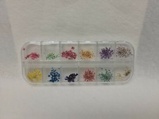 12 Colors Real Dried Flowers 3D Nail Art Decors Design DIY Tips Manicure Set 3