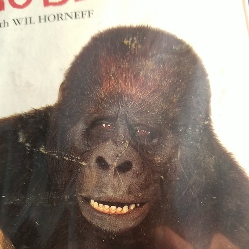 Born to Be Wild VHS 1995 Clam Shell Video Cassette Tape 99 minutes Family - Picture 12 of 12