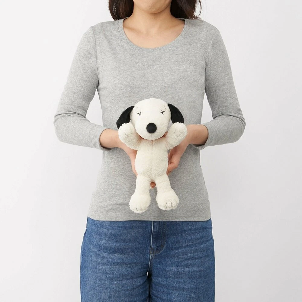 Kaws x snoopy doll 2025