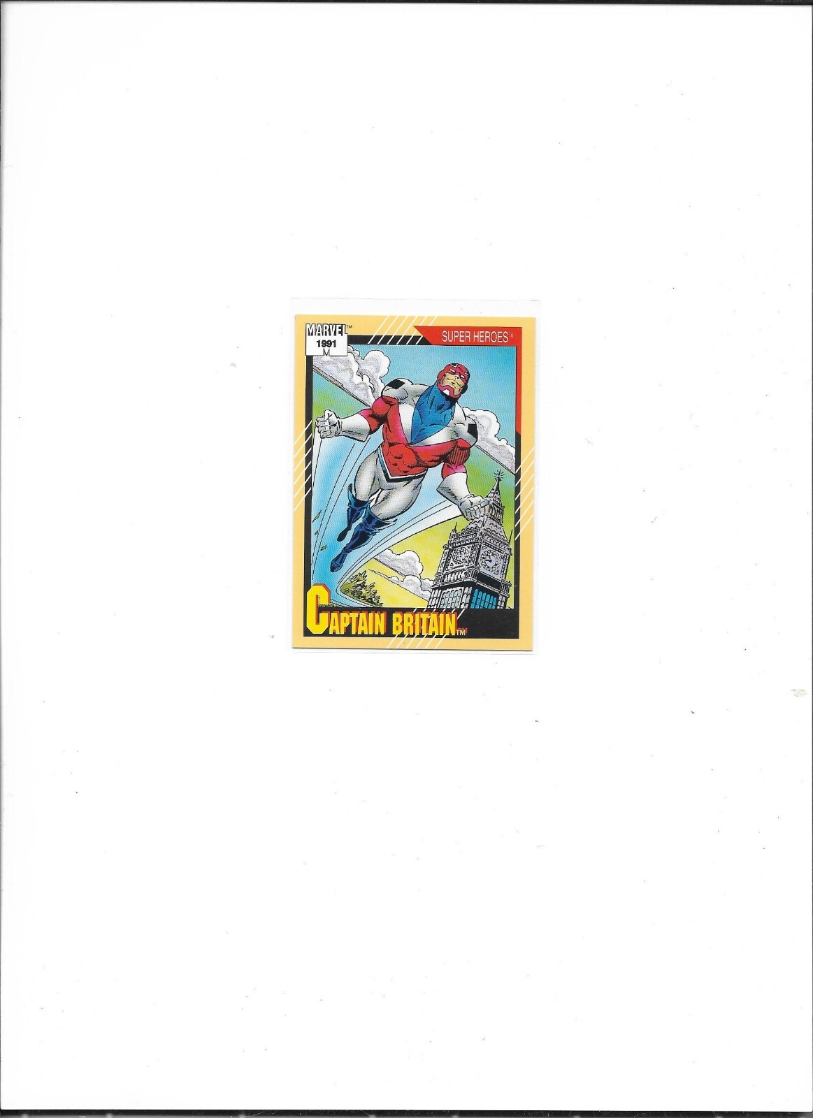 Picture 19 of 165