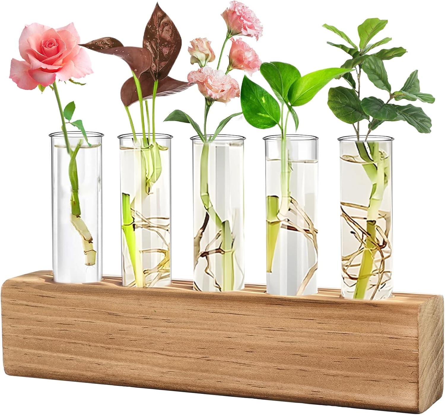 Gardening Gifts for Women, Unique Plant Gift for Mum Daughter Wife Auntie Grandm
