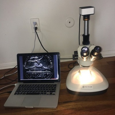 Fisher Sci. Stereozoom Trinocular Microscope Stand 5MP Camera 6.5-60x Mac/PC