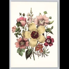 Vintage Floral Postcard 1993 Unposted Flowers Garden Botanical Scenic View