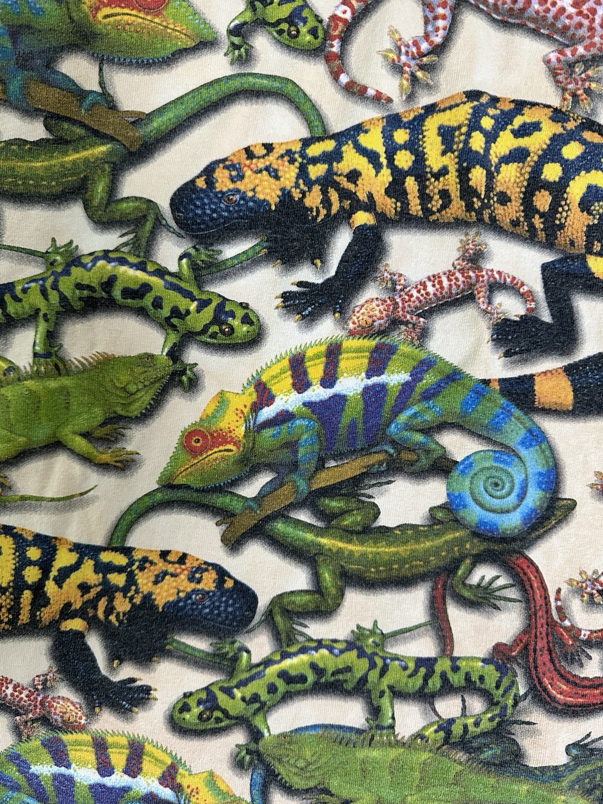 Foto 5 di 9