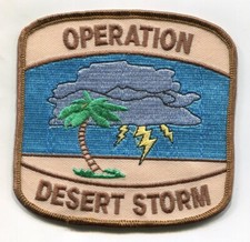 VINTAGE 1990s DESERT STORM  CAMEL JOCKEY PATCH: STORM CLOUD/LIGHTING w/PALM TREE