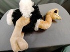 Bild 8 von 10
