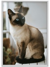 Bilderrahmen Foto Rahmen 10x15cm bis 70x100cm Alurahmen Bilder Poster Aluminium