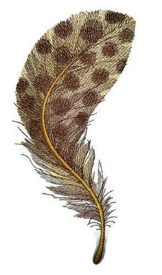 Custom and Unique Fancy Feather Collection [Spotted Brown Feathers ] Embroidered