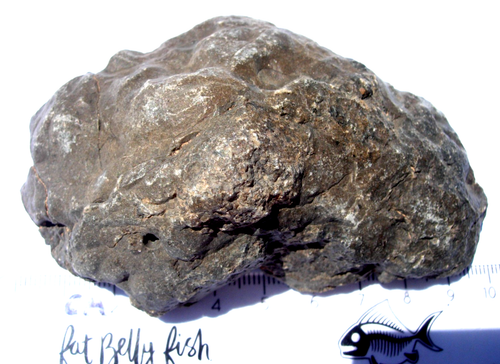 137 grams Jikharra 001 as found HED Achondrite Eucrite Meteorite Asteroid Vesta - Picture 5 of 5