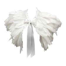 Feather Shawl Fancy Dress for Women Feather Collar for Party Carnival