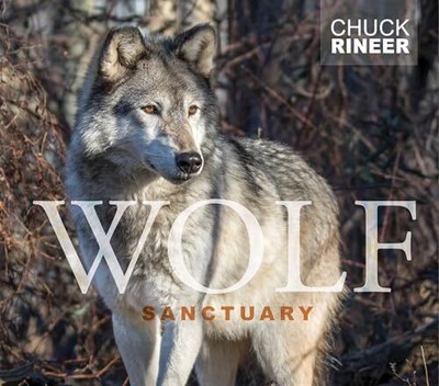 Wolf Sanctuary: The Wolves of Speedwell Forge von Chuck Rineer (gebundenes Buch, 2018)