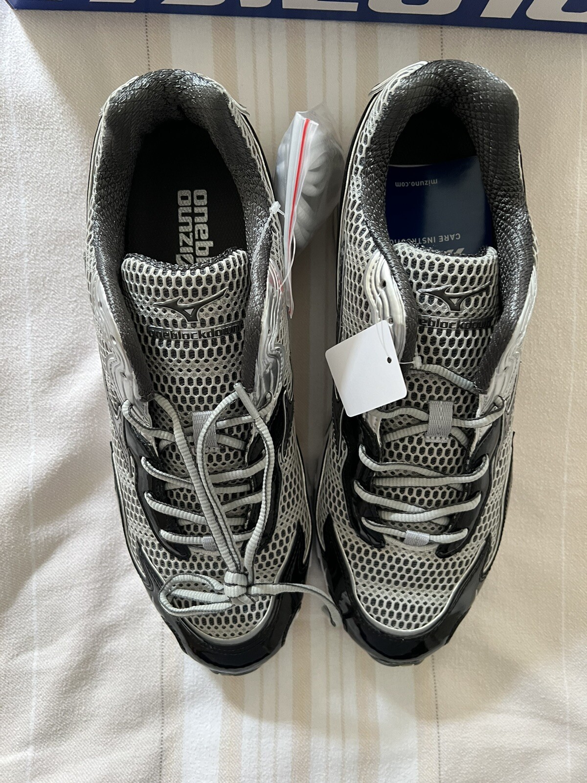 Mizuno Wave Rider 10  