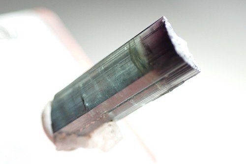 ELBAITE - FOITITE * TURMALINA BICOLOR * ¡LOCALIDAD RARA! Alto da Cabeca, BRASIL - Imagen 13 de 22