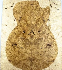 5A Electric Bass Top Worm-hole Barky Golden Camphor Wood Burl Set Luthier Supply