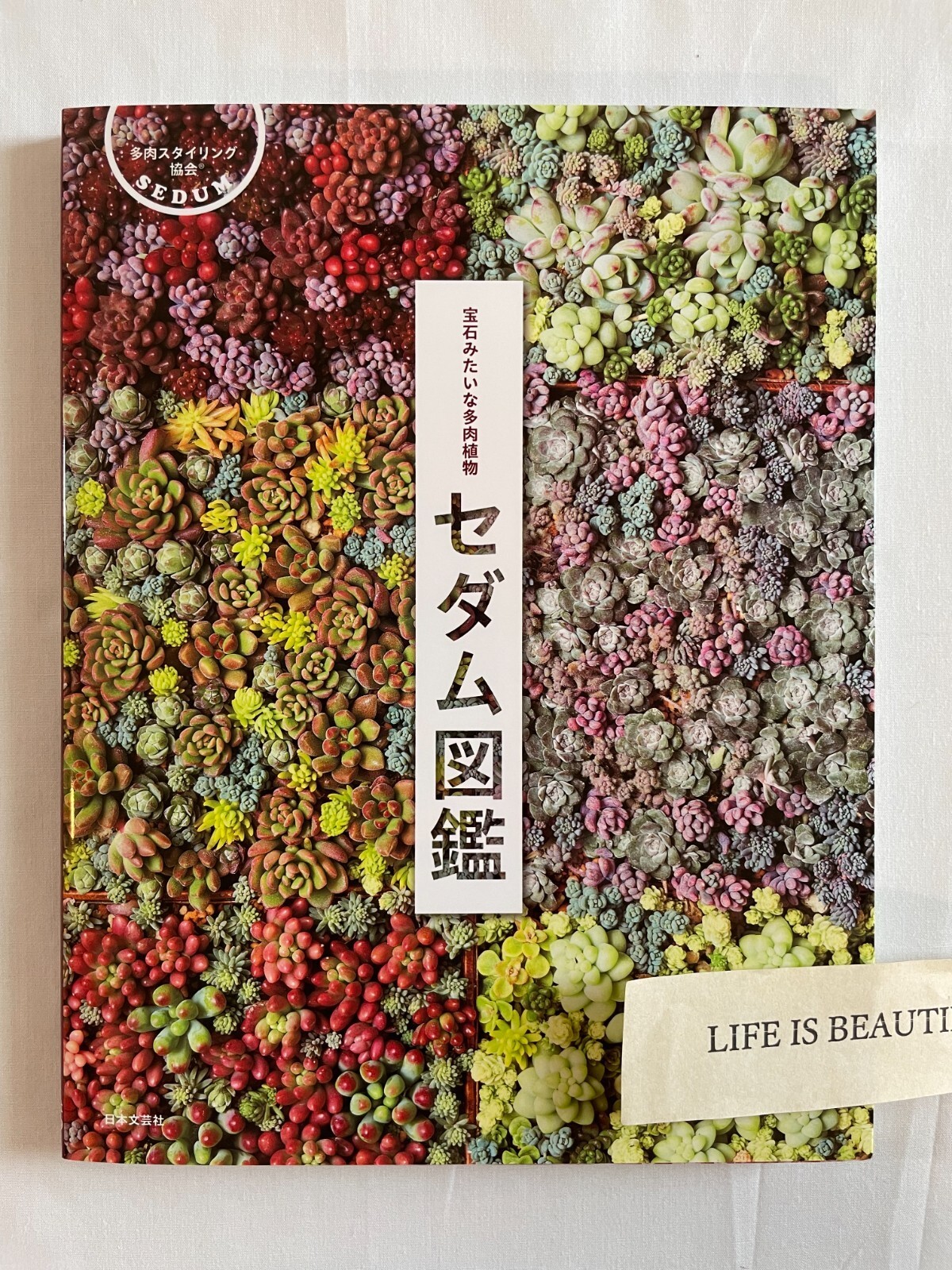 Sedum Picture Book Japan Succulents Like Jewels Photo Plant Japanese How To Grow