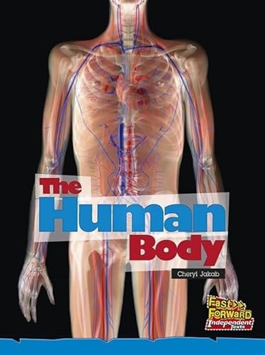 The Human Body Cheryl Jakab - Image 3