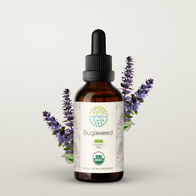 HerbEra Bugleweed Alcohol-FREE Tincture, Organic Bugleweed (Lycopus Virginicus)
