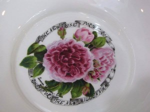 Free Shipping 2 New Colors Portmeirion Rare Millenium Rose Large Bowl Limited Edition 0169 Mint Condition Best Selling Www Crystalglass Ca