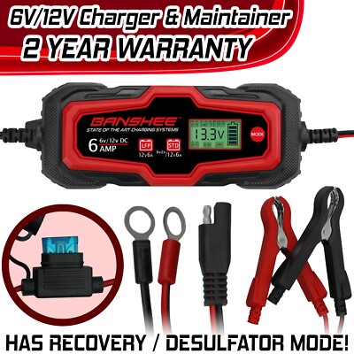 6V/12V STD &AGM Lead Acid & LiFePO4 Battery 6 Amp Charger Maintainer Desulfator