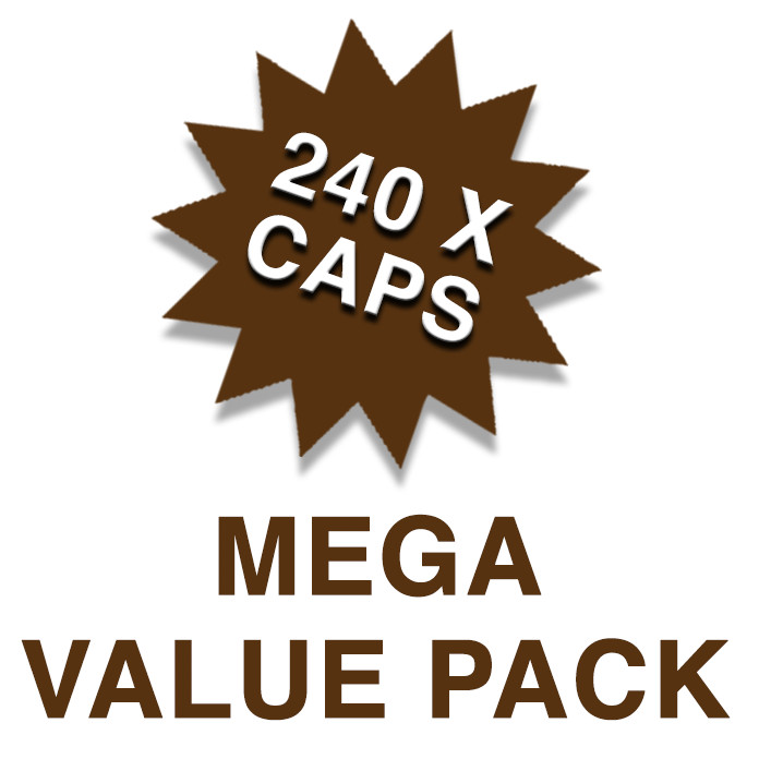 240 ORGANIC CAPSULES REISHI 20:1 EXTRACT MUSHROOM GANODERMA IMMUNE SYSTEM BOOST